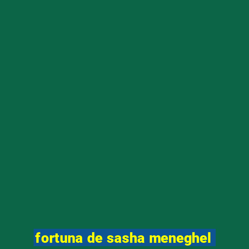 fortuna de sasha meneghel